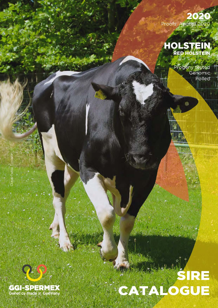 BAS·GGI - SPERMEX - CATALOGO HOLSTEIN 2020-21